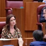 El popular Raúl de la Hoz, conversa la portavoz de Ciudadanos, Ana Carlota Amigo y el procurador «naranja», David Castaño, en presencia del consejero Suárez-Quiñones, en las Cortes