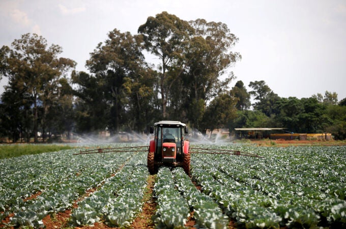 Tractor de agricultura, en una imagen de archivo. REUTERS/Siphiwe Sibeko/File Photo