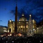 El abeto rojo del Vaticano, de unos 26 metros de altura, proviene de los bosques del Véneto