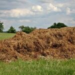 El estiércol se mezcla con compost para fertilizar la tierra, y debe alejarse de zonas vulnerables a la contaminación por nitratos durante los periodos de intensas lluvias