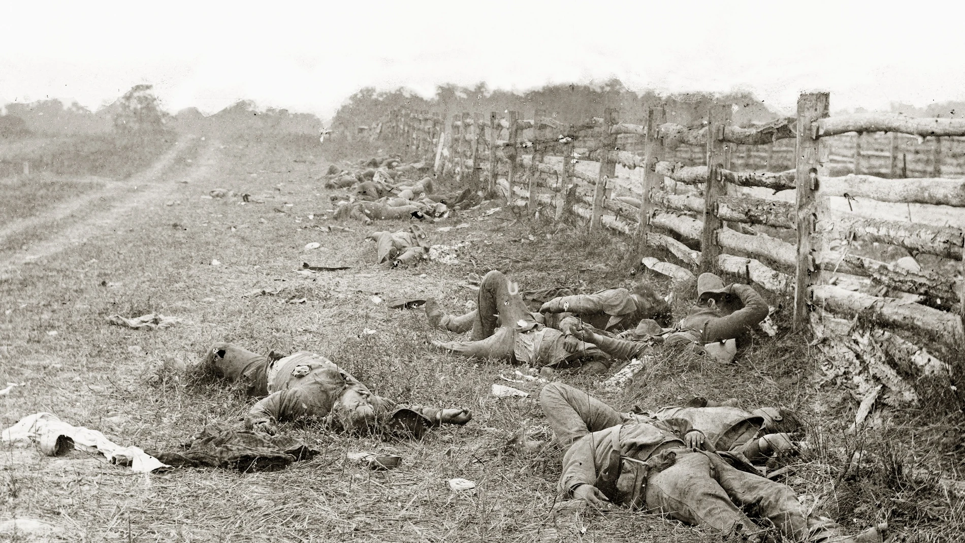 Confederados muertos en el campo de batalla de Antietam
