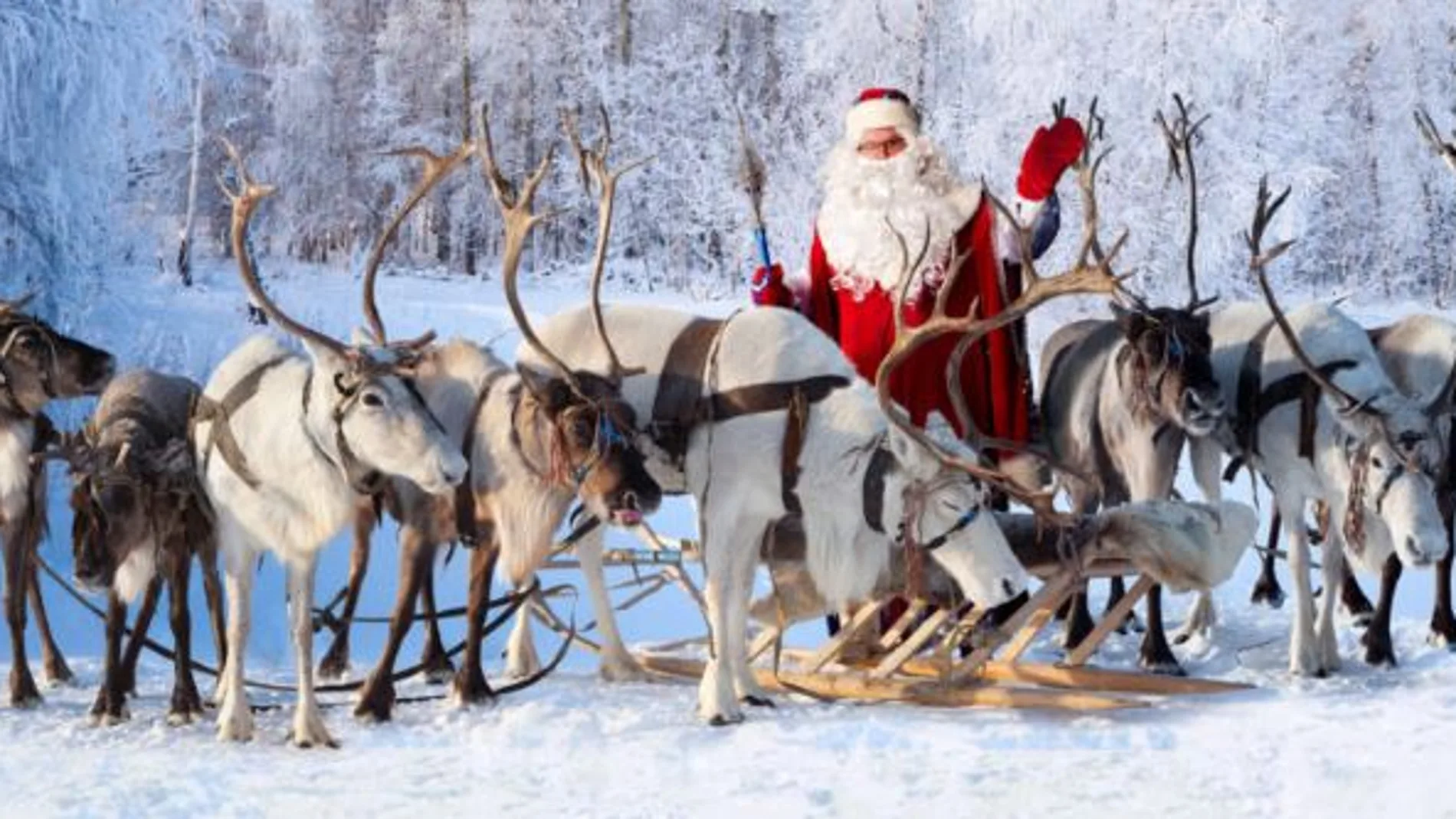 Papá Noel en su trineo tirado por renos