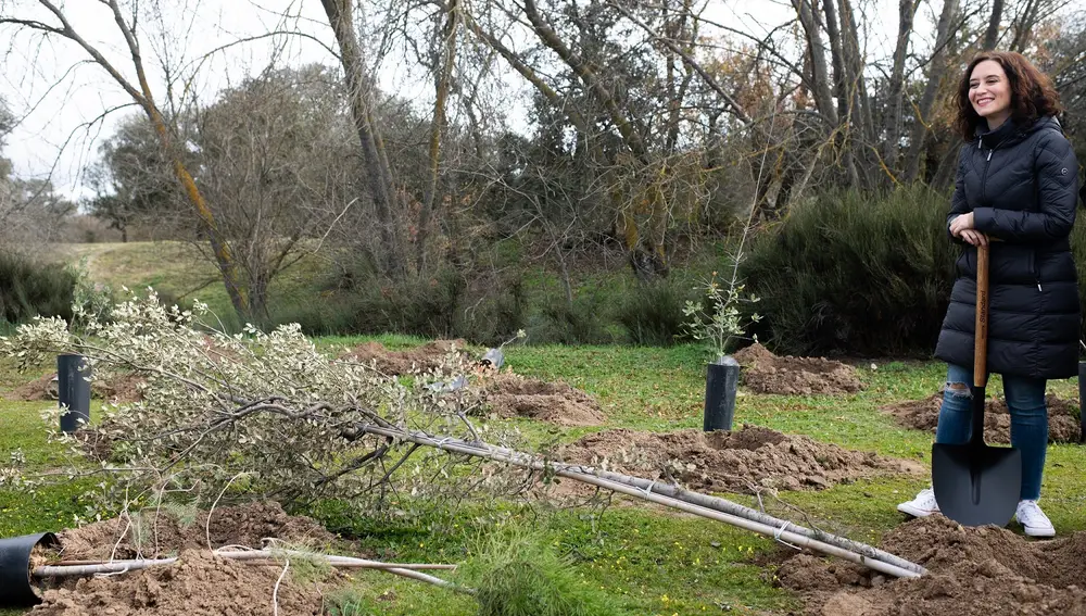 Díaz Ayuso inicia el Arco Verde con la plantación de 350 árboles vinculados a la COP25