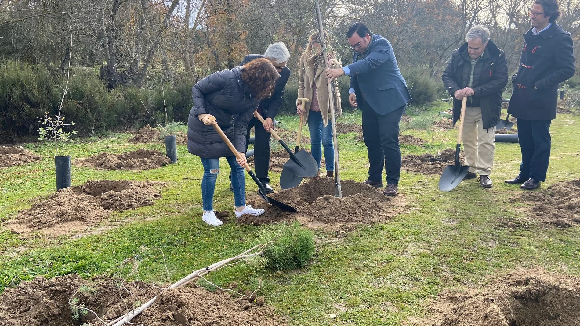 Arranca el proyecto Arco Verde en Boadilla con la plantación de los primeros árboles vinculados a la Cumbre del Clima