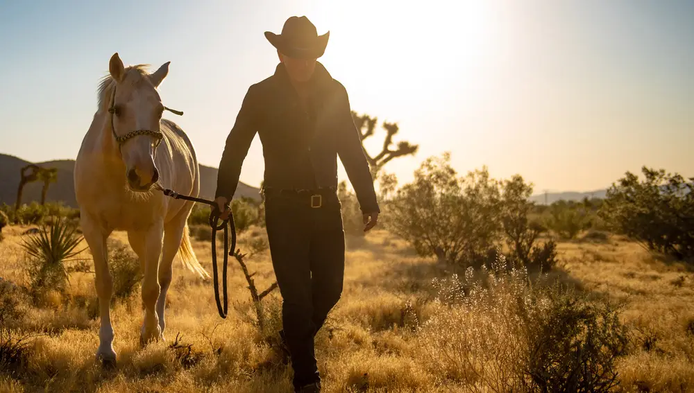 Bruce Springsteen, en "Western Stars"