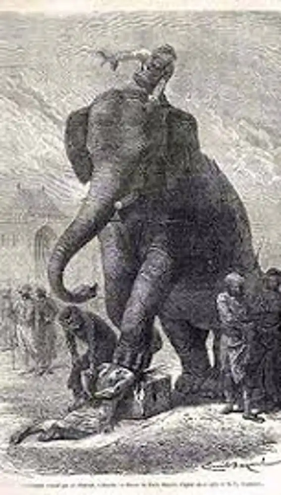 Muerte por elefante