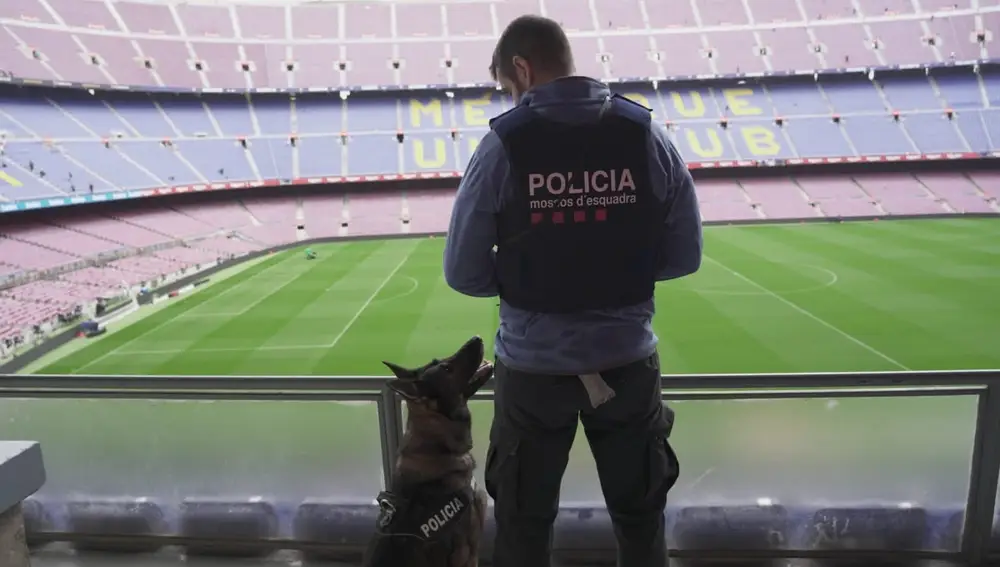 La unidad canina de los Mossos d'Esquadra en el Camp NouMOSSOS D'ESQUADRA18/12/2019