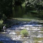 Un pescador en el río Rudrón en valdelateja (Burgos)