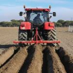 Un agricultor prepara la tierra para volver a sembrar.