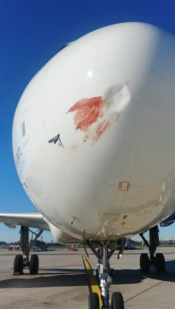 Así quedó un Airbus de Iberia tras chocar con un pájaro en Barajas