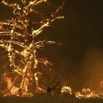 Los Bomberos luchan contra las llamas en un incendio desatado en las Montañas Azules, al oeste de Sydney/Reuters