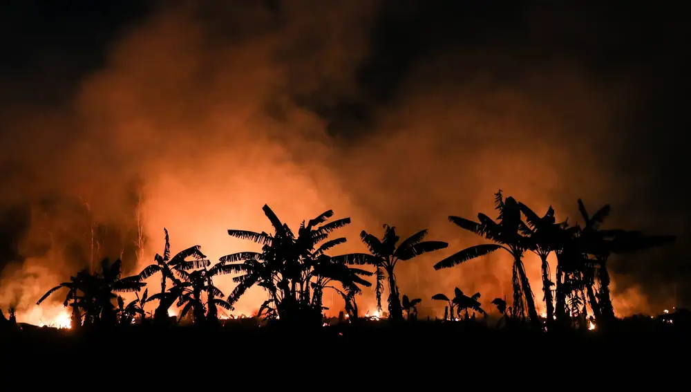 AME5448. PORTO VELHO (BRASIL), 09/09/2019.- Vista general de un incendio este lunes, en la ciudad de Porto Velho (Brasil). La Amazonía brasileña perdió en agosto pasado 1.698 kilómetros cuadrados de su cobertura vegetal, un área en un 222 % superior a la desforestada en el mismo mes de 2018 (526 kilómetros cuadrados), según los datos divulgados la víspera por el estatal Instituto Nacional de Pesquisas Espaciales (INPE). Los números indican que, pese a que la devastación se redujo con respecto a julio de este año, la destrucción de la cobertura vegetal de la mayor selva tropical del mundo continúa creciendo en su comparación con el año pasado. EFE/ Fernando Bizerra Jr
