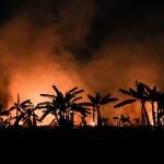 AME5448. PORTO VELHO (BRASIL), 09/09/2019.- Vista general de un incendio este lunes, en la ciudad de Porto Velho (Brasil). La Amazonía brasileña perdió en agosto pasado 1.698 kilómetros cuadrados de su cobertura vegetal, un área en un 222 % superior a la desforestada en el mismo mes de 2018 (526 kilómetros cuadrados), según los datos divulgados la víspera por el estatal Instituto Nacional de Pesquisas Espaciales (INPE). Los números indican que, pese a que la devastación se redujo con respecto a julio de este año, la destrucción de la cobertura vegetal de la mayor selva tropical del mundo continúa creciendo en su comparación con el año pasado. EFE/ Fernando Bizerra Jr
