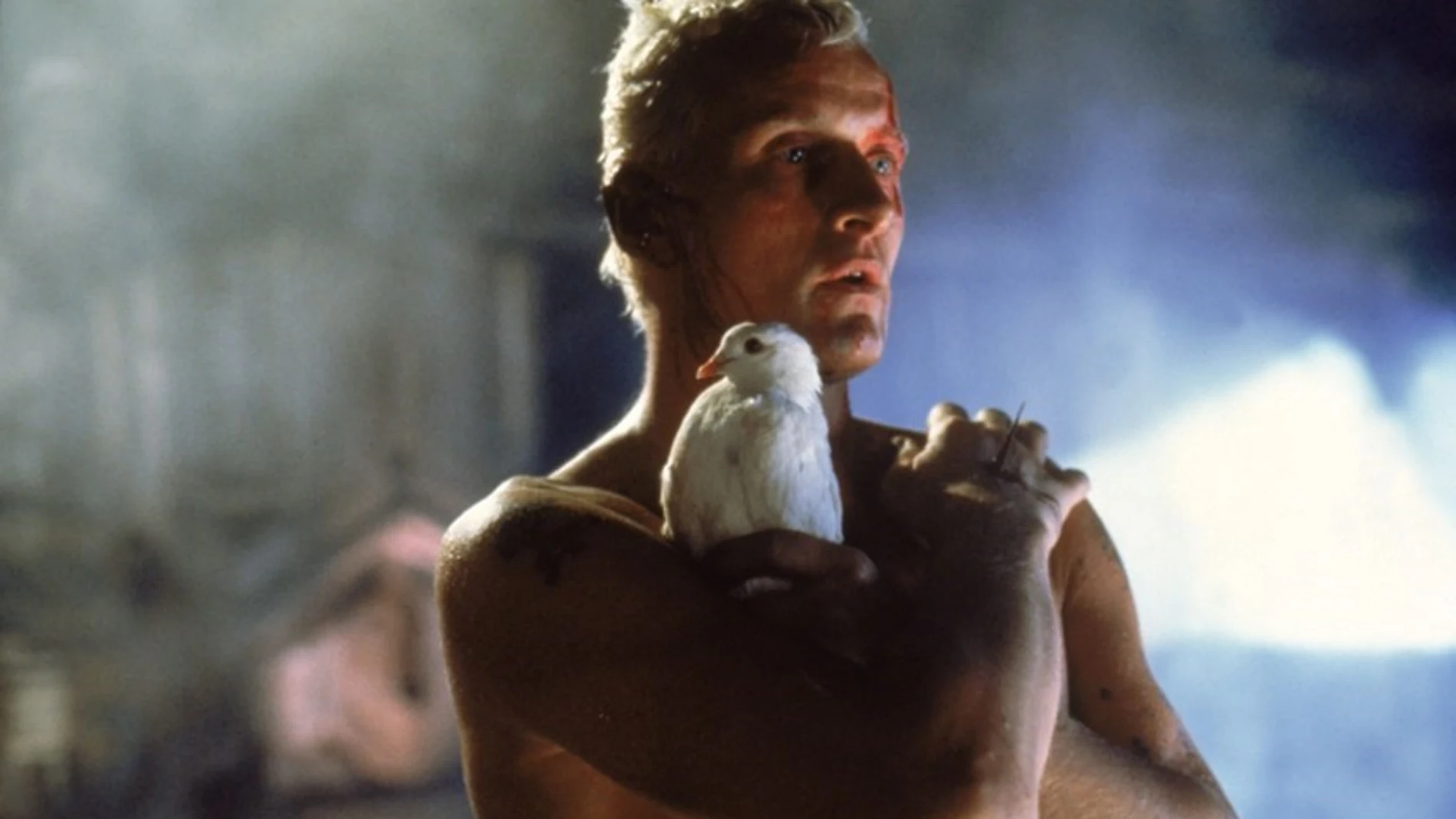 Imagen de la película "Blade Runner" donde sale Rutger Hauer en el papel de Roy Batty sujetando una paloma blanca con la mirada perdida.
