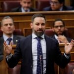 GRAF6837. MADRID, 04/01/2020.- El presidente de Vox, Santiago Abascal, durante su intervención en el Congreso de los Diputados en la primera jornada de la sesión de investidura de Pedro Sánchez como presidente del Gobierno. EFE/Juan Carlos Hidalgo