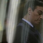 Pedro Sánchez
