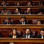 La diputada nacional del PP. Isabel Borrego, en la sesión de investidura de Pedro Sánchez