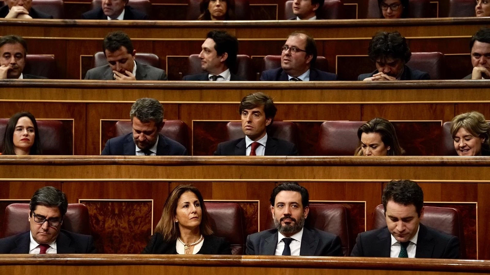 La diputada nacional del PP. Isabel Borrego, en la sesión de investidura de Pedro Sánchez