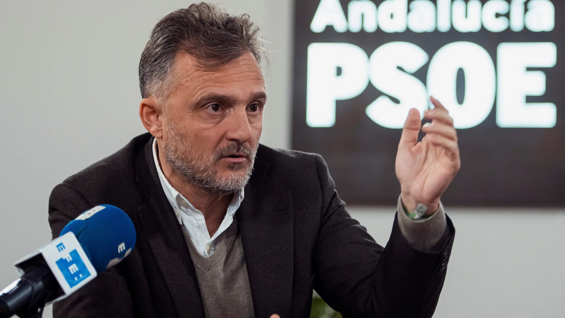 El portavoz parlamentario del Grupo Socialista, José Fiscal