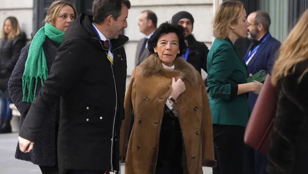 Isabel Celaá a su llegada al Congreso