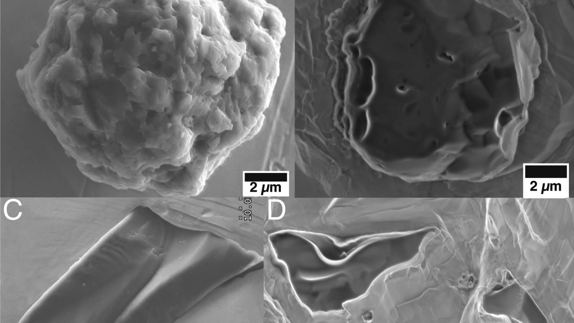 Escaneo de imágenes de microscopio electrónico de muestras representativas de los dos tipos morfológicos de granos de presolares estudiados