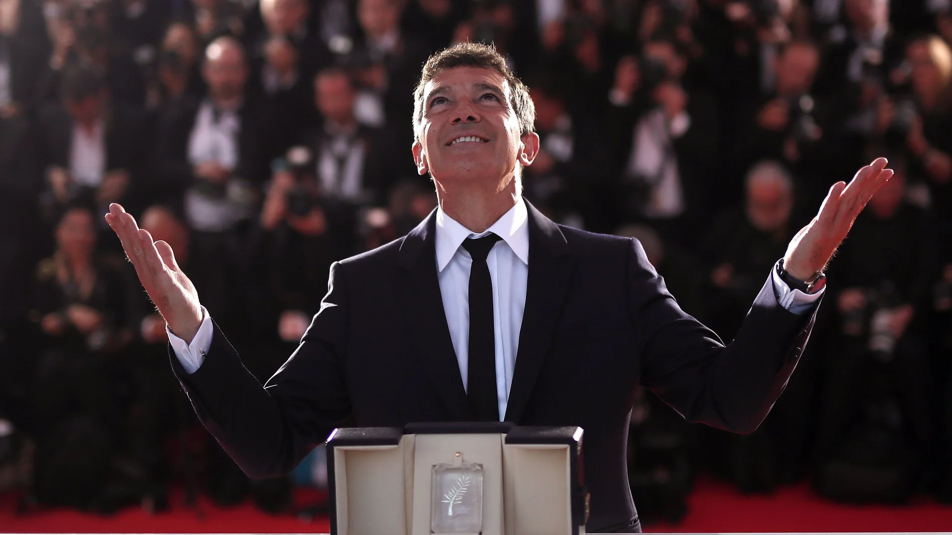 Después de recolectar numerosos premios por su interpretación de Salvador Mallo en «Dolor y gloria» como en el Festival de Cannes (en la imagen), Antonio Banderas pone rumbo a los Oscar
