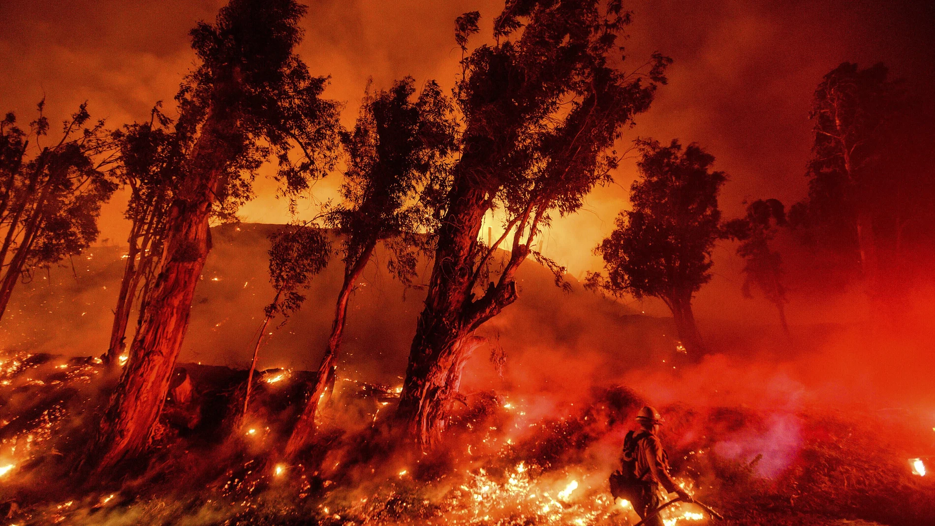 Los bomberos luchan contra el fuego en Santa Paula, California