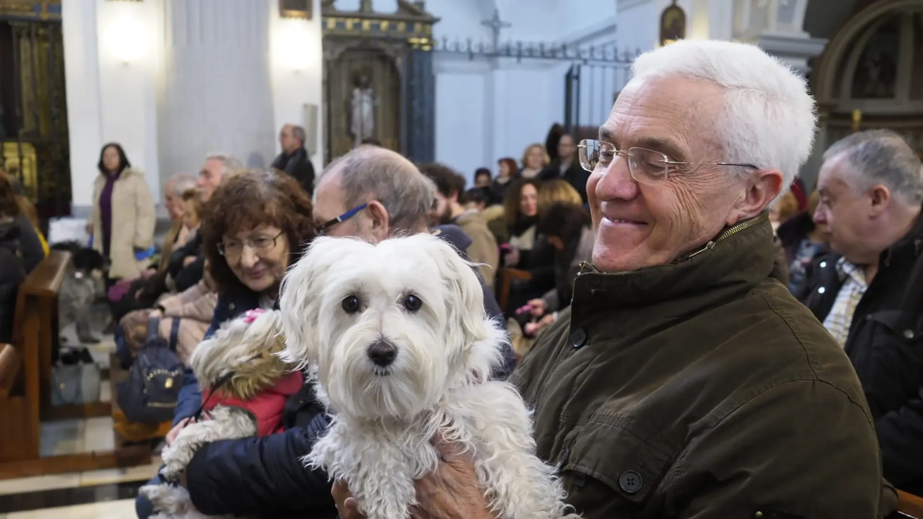 Un vallisoletano acude con su perro a la misa durante el día de San Antón, el patrón de los animales