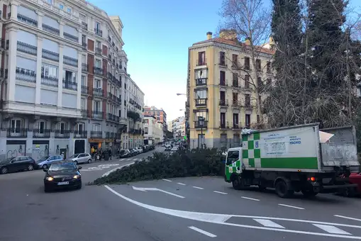 El fuerte viento de Madrid derriba varios árboles y provoca numerosos avisos al 112
