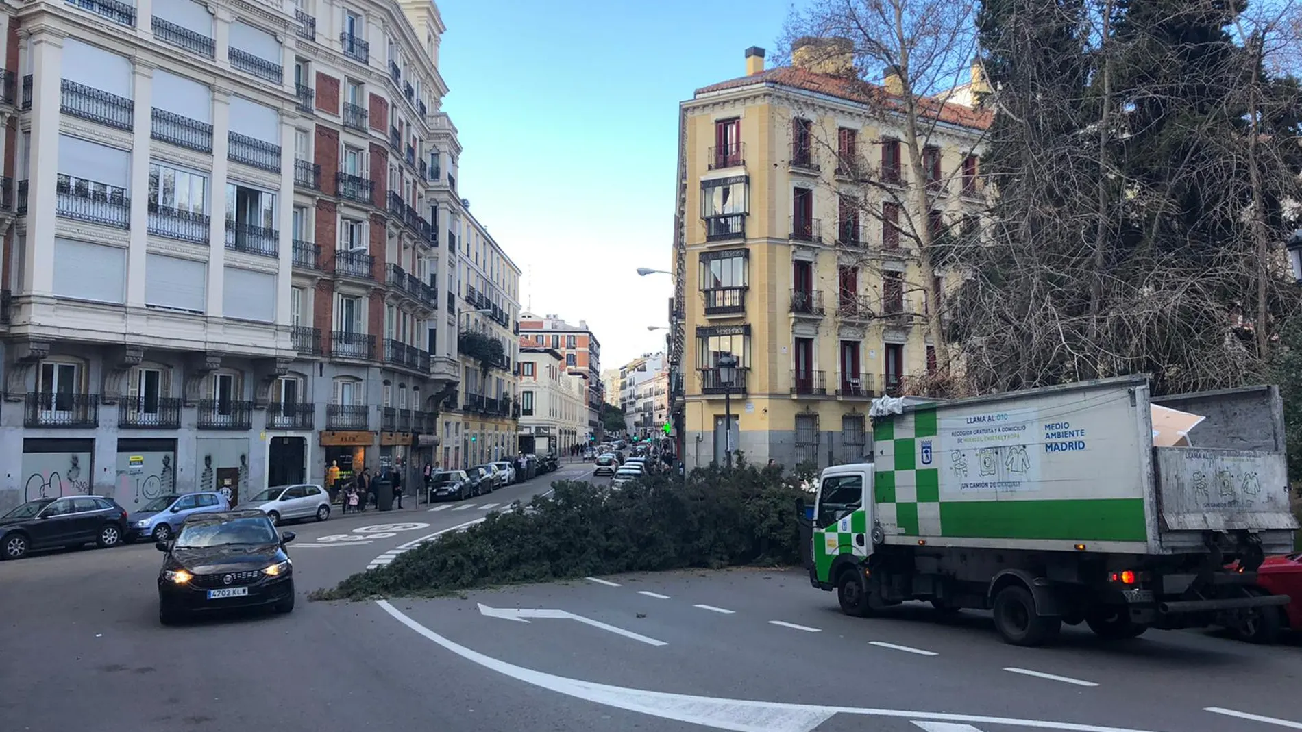 Mejora Entretener tornillo El fuerte viento de Madrid derriba varios árboles y provoca numerosos  avisos al 112