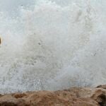 Un hombre observa las olas romper este lunes en el puerto deportivo de Denia tras el paso de la borrasca Gloria. El número de ayuntamientos de la Comunitat Valenciana que han decidido suspender las clases hoy por la virulencia de la borrasca "Gloria" asciende ya a 194, con más de 191.300 alumnos afectados