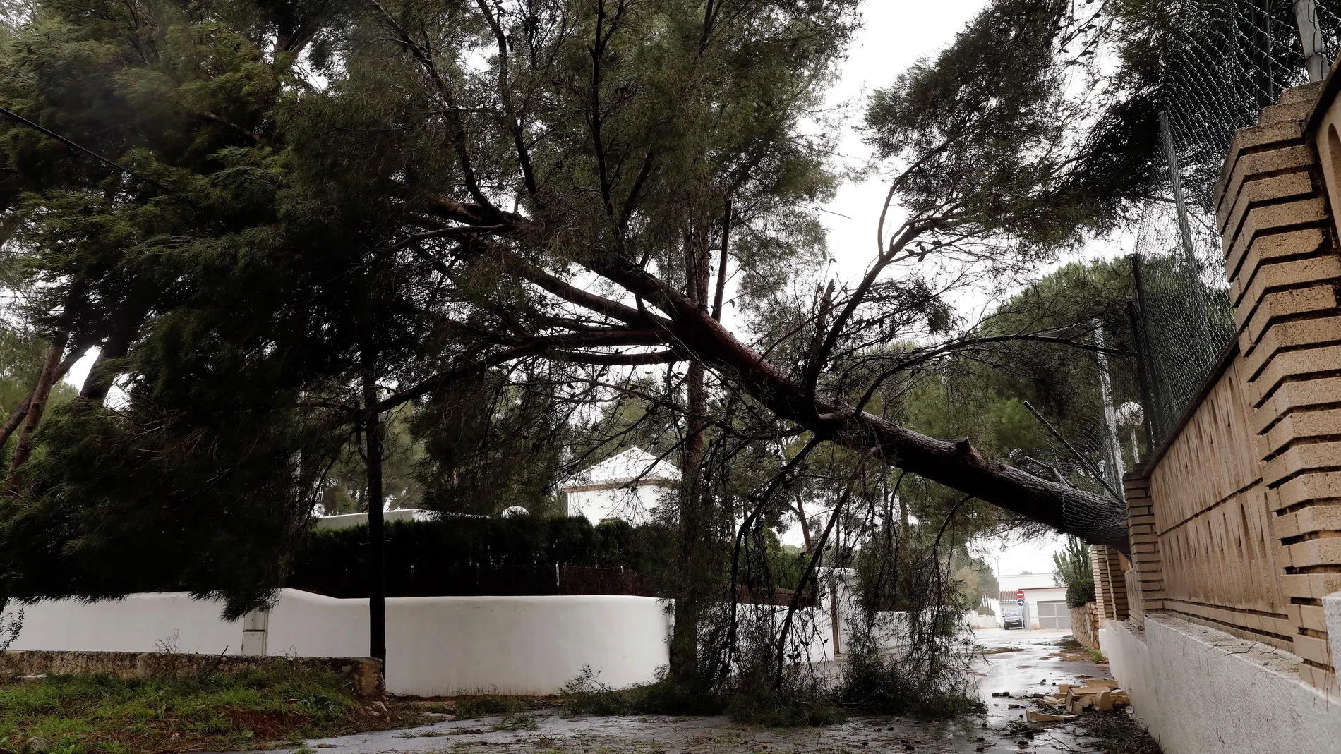 Borrasca Gloria en Javea