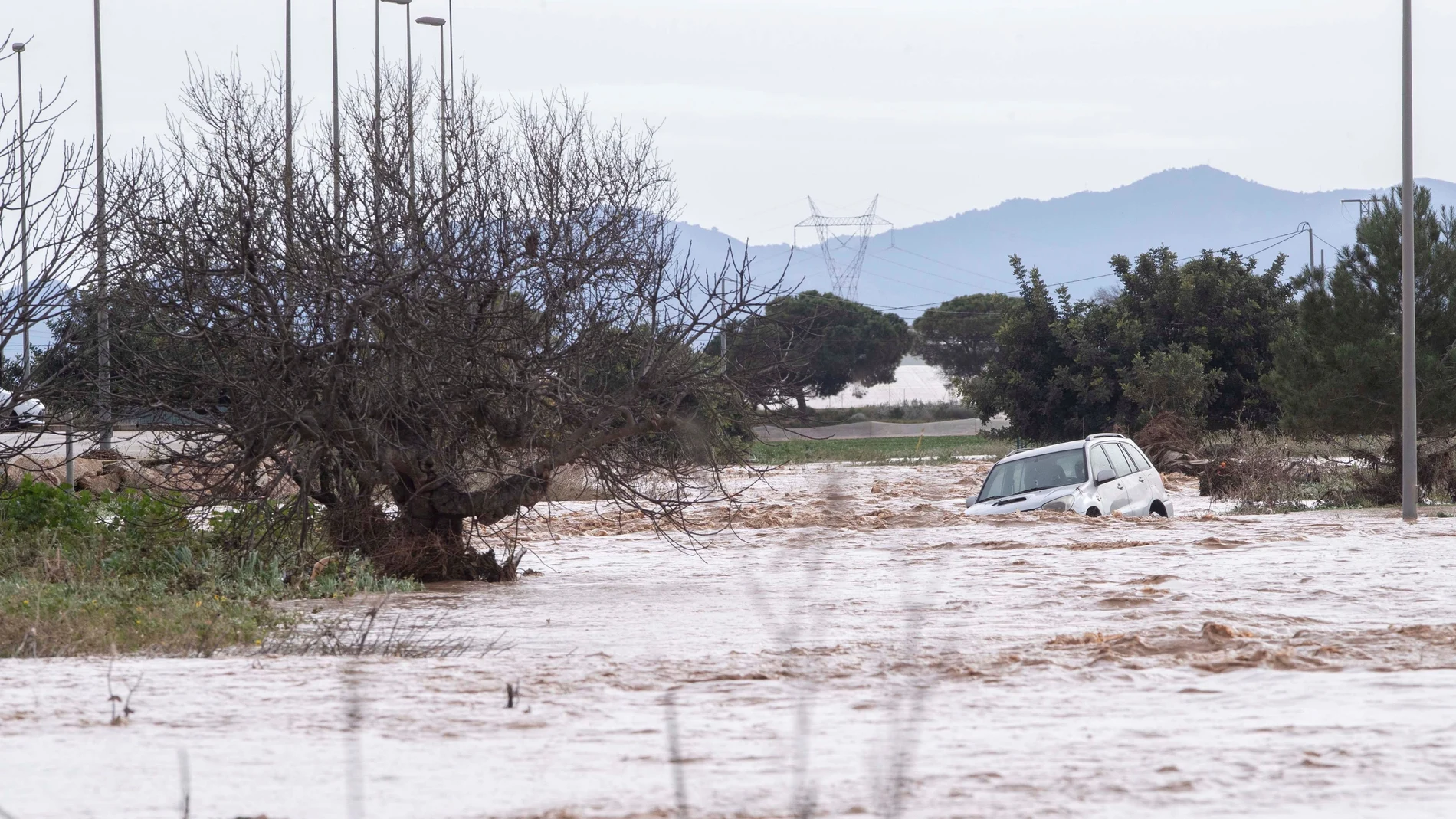 GRAFCVA1312. BALSICAS (MURCIA), 21/01/2020.- Un coche arrastrado por el agua de la rambla de la Maraña de San Javier, tras las intensas lluvias caidas en las últimas horas en el campo de Cartagena. EFE/Marcial Guillén