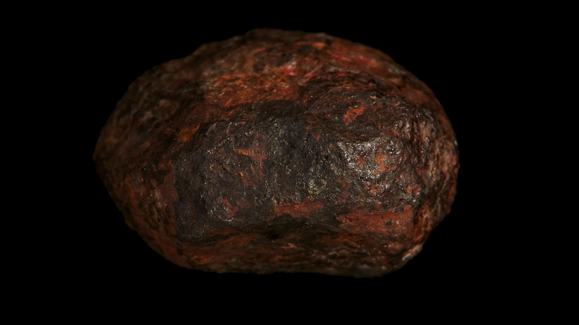 El meteorito Wedderburn en el cual se descubrió la edscotita