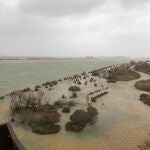 Inundaciones en la zona del delta del Ebro por la borrasca 'Gloria'.@LLUIS_SOLER21/01/2020