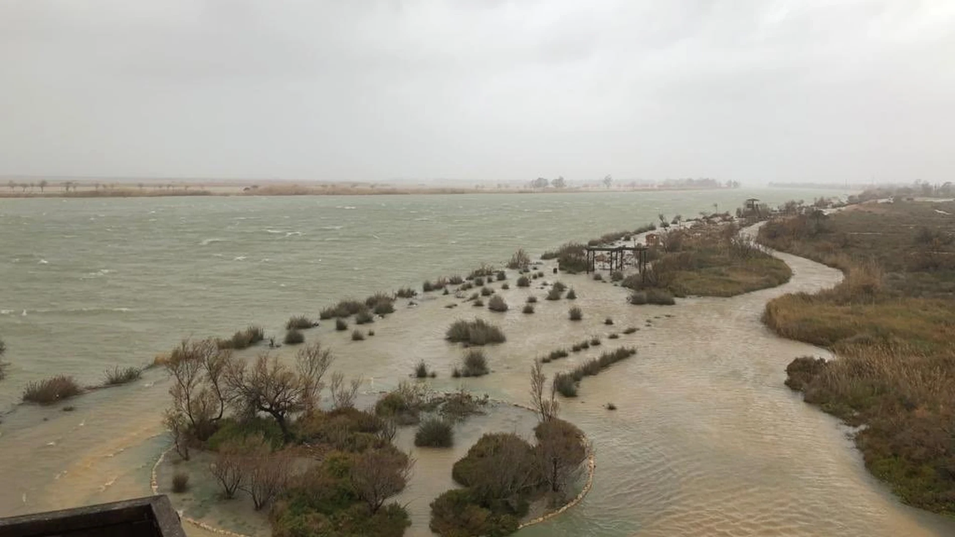 Inundaciones en la zona del delta del Ebro por la borrasca 'Gloria'.@LLUIS_SOLER21/01/2020