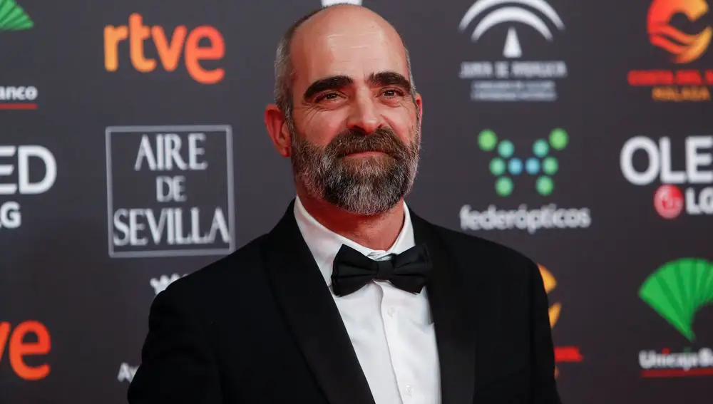 Actor Luis Tosar poses on the red carpet at the Spanish Film Academy's Goya Awards ceremony in Malaga, Spain, January 25, 2020. REUTERS/Jon Nazca