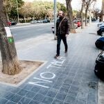 En 2019 se cayeron o fueron cortados 1.650 ejemplares