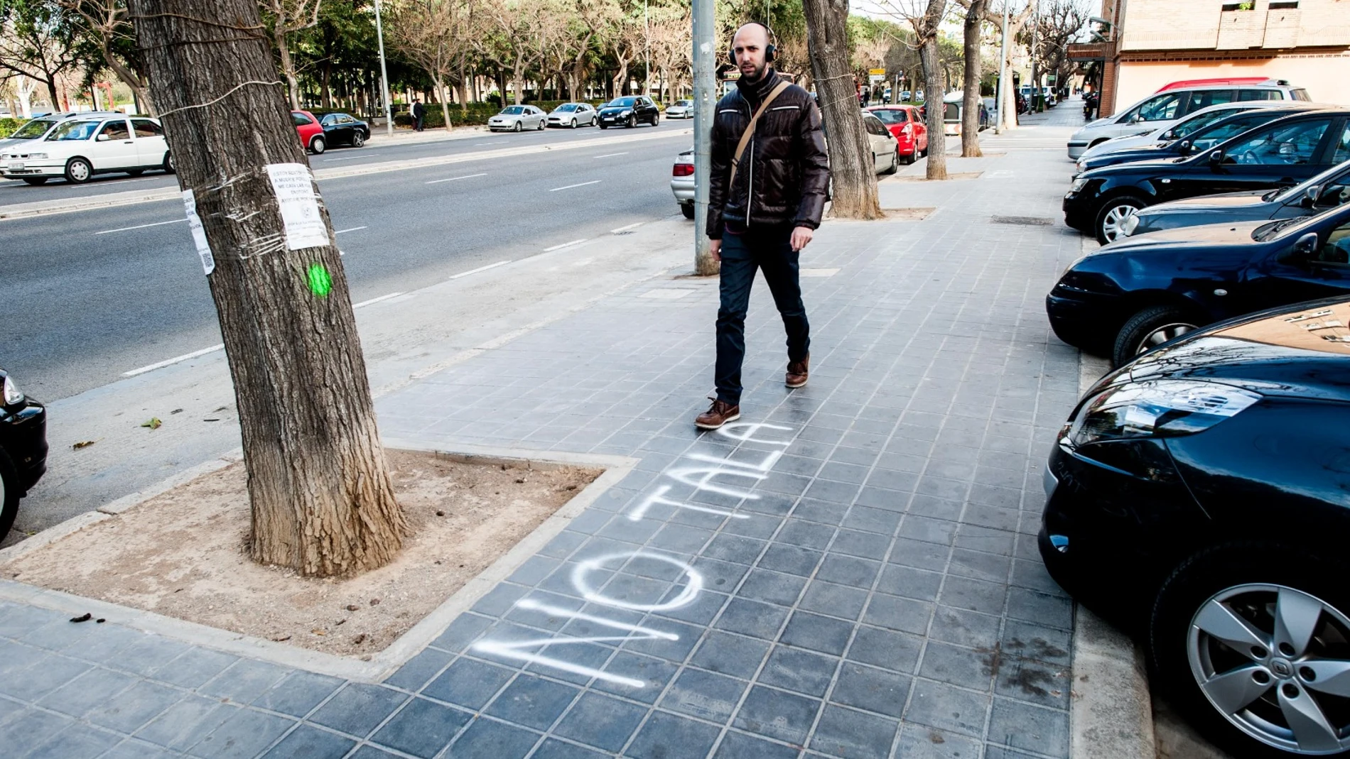 En 2019 se cayeron o fueron cortados 1.650 ejemplares