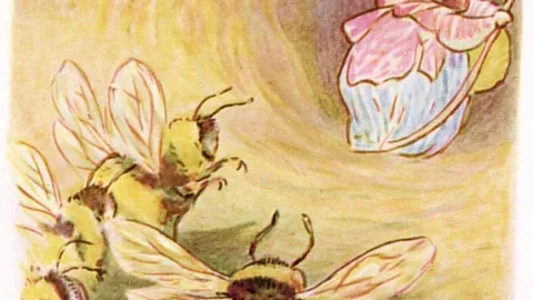 Otro ejemplo de las pesadillas que representan los insectos