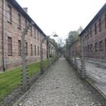 Campo de exterminio de AuschwitzEUROPA PRESS27/01/2020