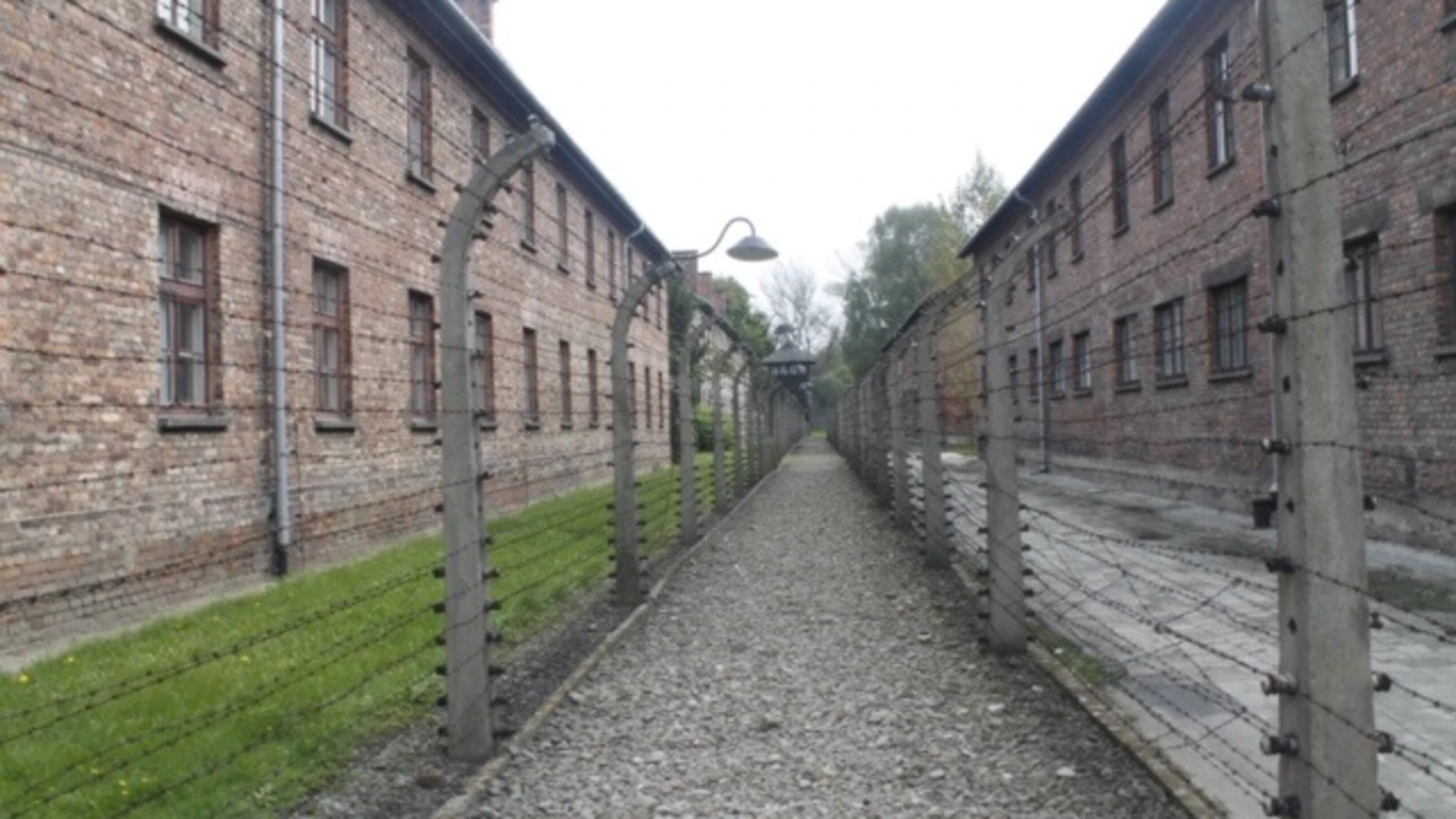 El Parlamento de Cantabria reivindica la memoria del holocausto como antídoto frente al racismo