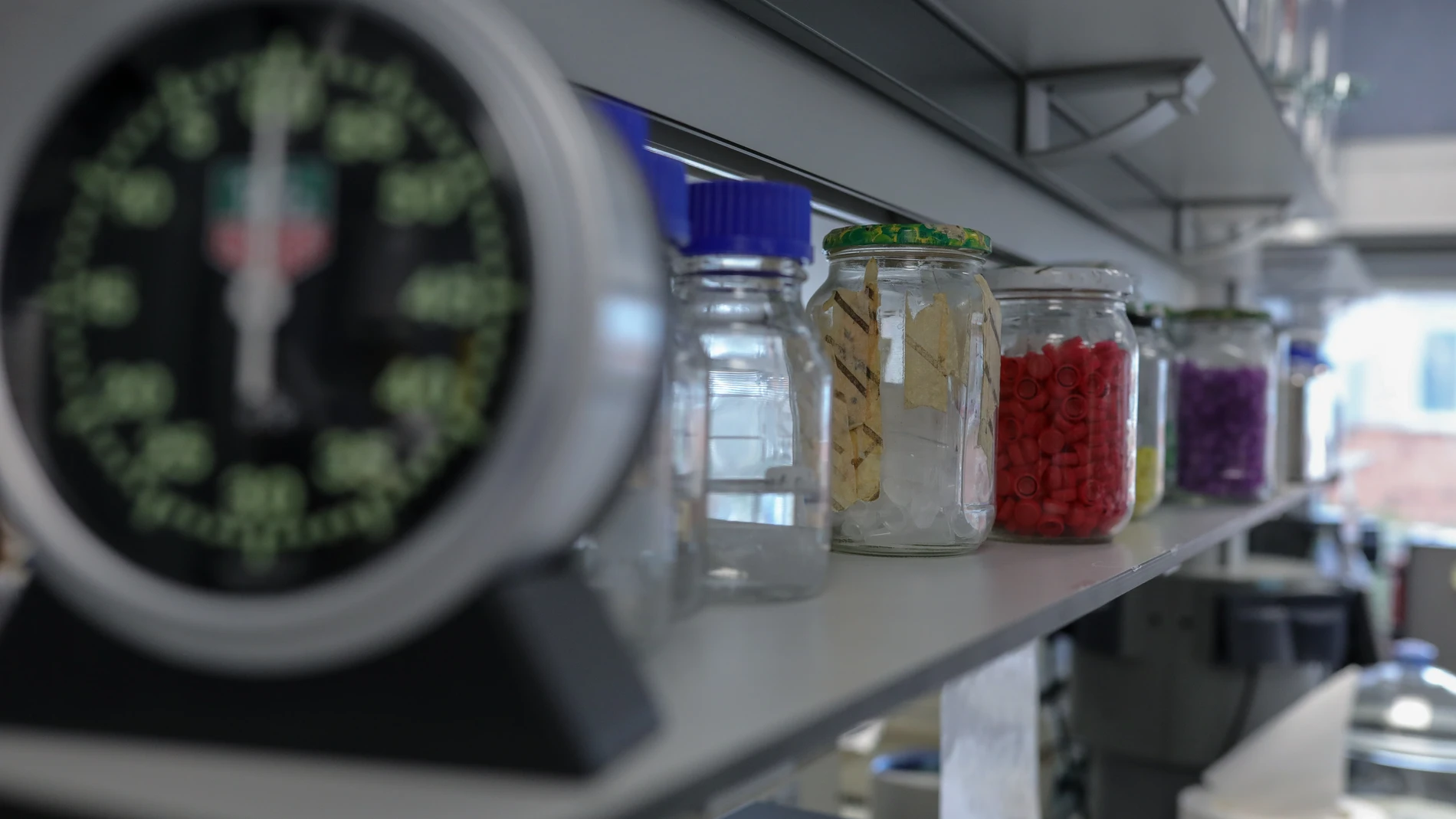 Imágenes de Recurso del Centro Nacional de Microbiología