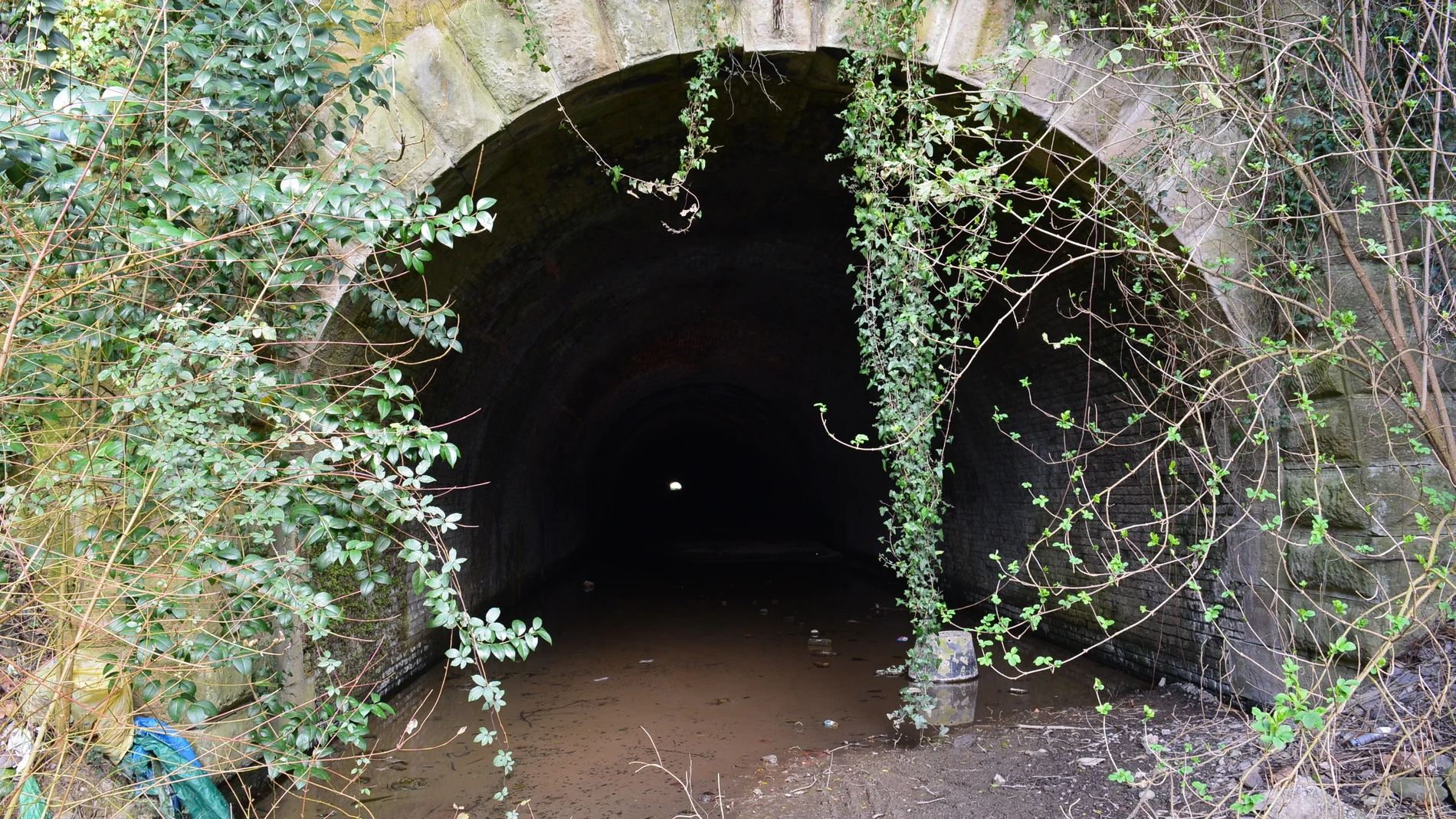 Sestao insta a Diputación de Bizkaia a estudiar la incorporación del Túnel de Galdames a la red foral de bidegorris