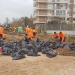 Operarios del Ayuntamiento de Valencia limpian la playa