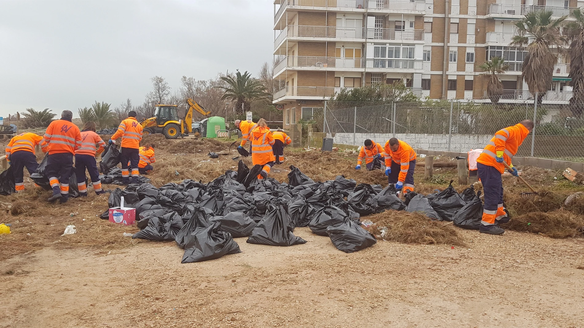 SEO/BirdLife pide recalificar como suelo rústico los primeros 500 metros de costa para evitar los efectos de temporales