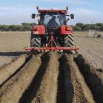 Agricultor de una explotación de Salamanca