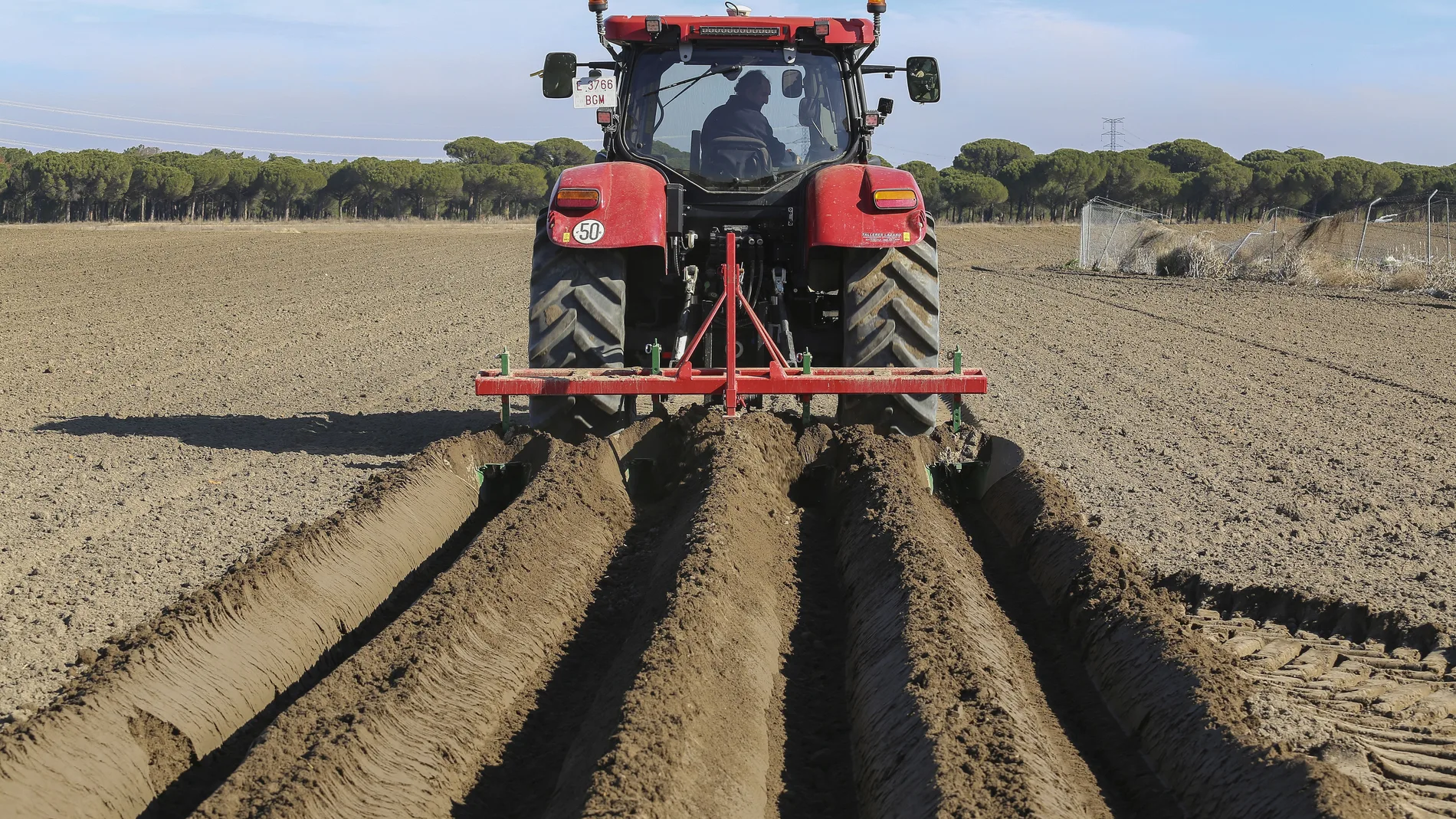 Agricultor de una explotación de Salamanca