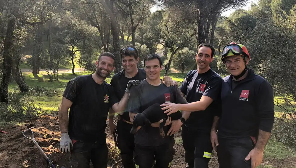 Los bomberos de la Comunidad de Madrid con la perrita Lola a la que la rescataron