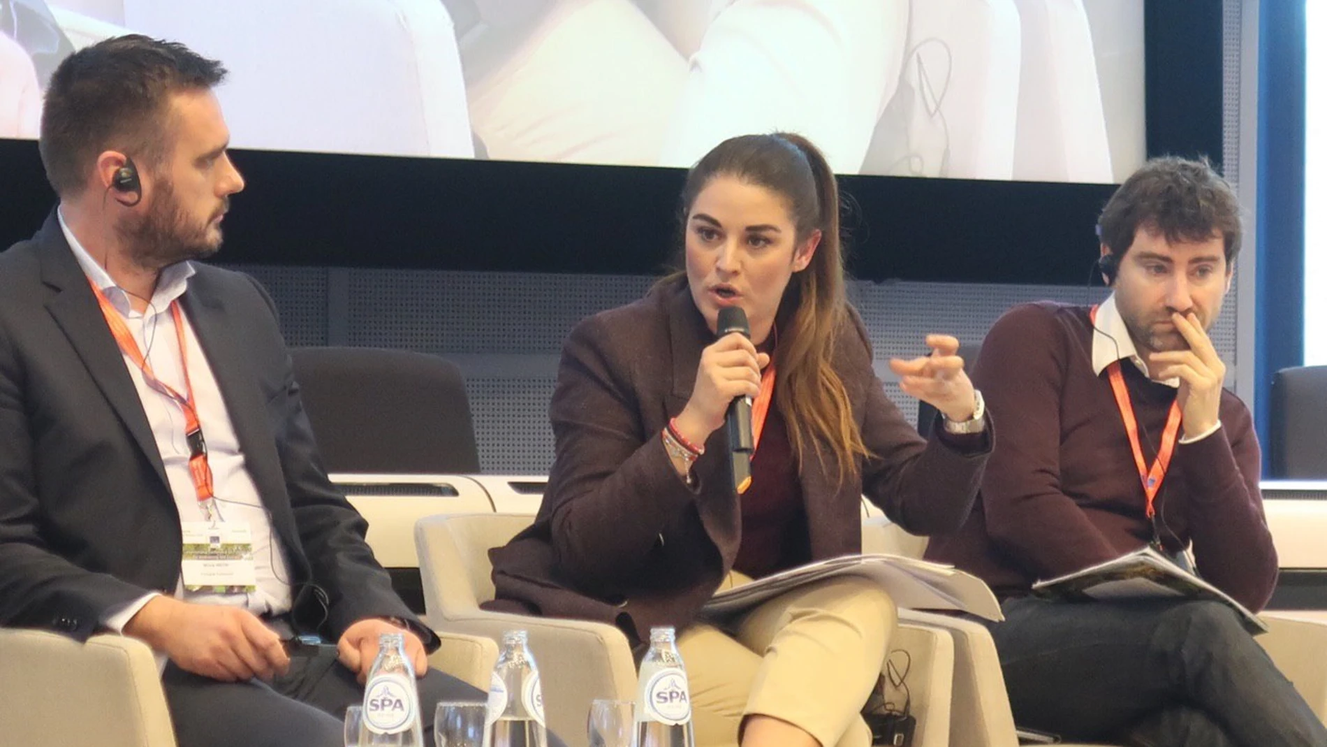 Mollà reivindica en Bruselas la "singularidad" del bosque valenciano y pide a la UE actuaciones "específicas"